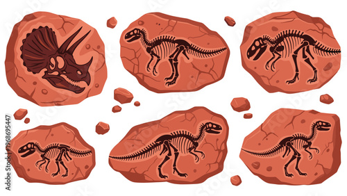 Fascinating collection of dinosaur fossil skeletons embedded in rock, including triceratops and various theropod species for education.