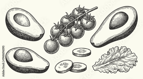 A detailed, hand-drawn illustration of fresh avocados, cherry tomatoes on the vine, sliced cucumbers, and a lettuce leaf, presented in a vintage sketch style.