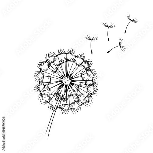 Whisper of the Wind: A delicate dandelion seed head, poised on the cusp of dispersal, releases its airborne seeds into the gentle breeze. A symbolic representation of dreams and wishes.