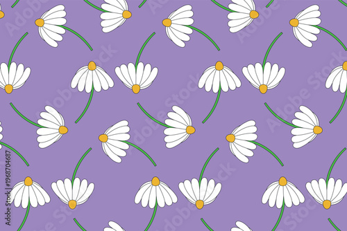 Vector seamless pattern with chamomile flowers on purple background.	