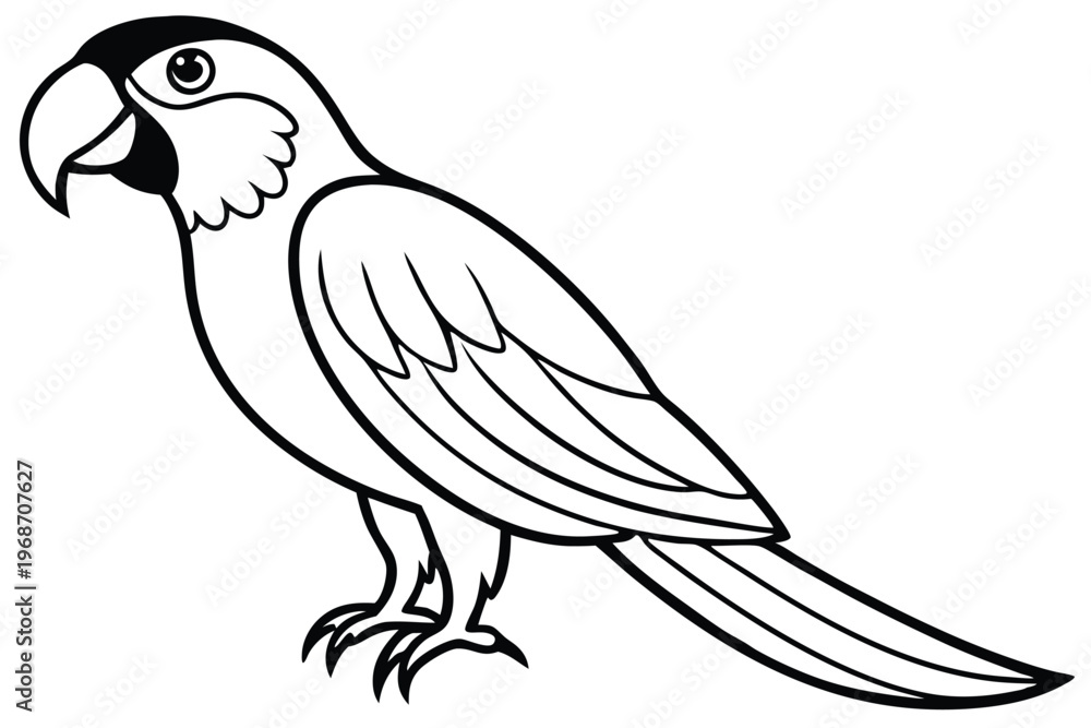 Obraz premium macaw bird silhouette line art vector illustration with a white background