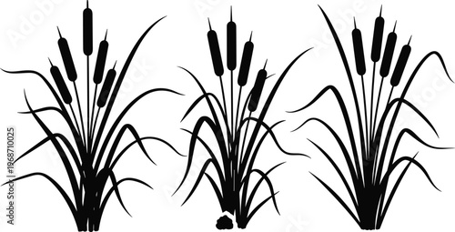Konstfotografi Cattail reed silhouette vector set featuring marsh plants with long leaves and s