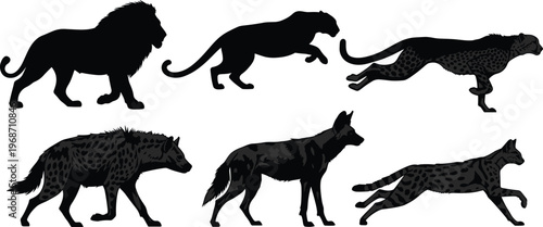 African predator silhouettes vector illustration, black carnivorous mammals, wildlife icons, nature clipart, educational theme, safari animals, zoology content, wild species
