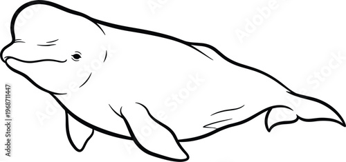 Cuadro en lienzo Beluga Whale Hand-Drawn Illustration, Ocean Mammal Vector for Marine Life, Natur