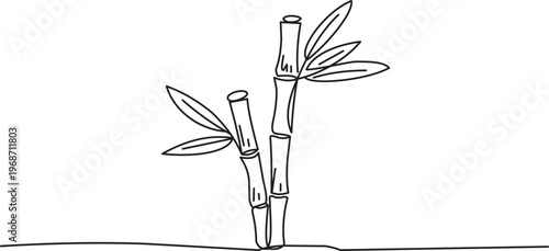 Bamboo Plant Line Art Illustration, Minimal Asian Botanical Outline, Zen Nature Drawing