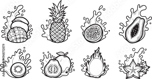 Detailed black and white line drawings of different types of beans Vector