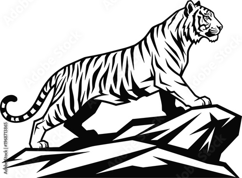 Majestic tiger standing on rock cliff vector illustration with bold black and white silhouette line art design for predator wildlife and nature themes