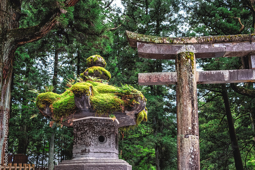 A moss covered stone lantern at the Toshogu Shrine at Nikko.