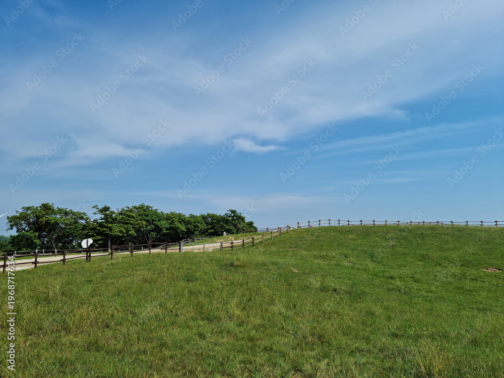 Fototapeta premium It is a grassy hill.