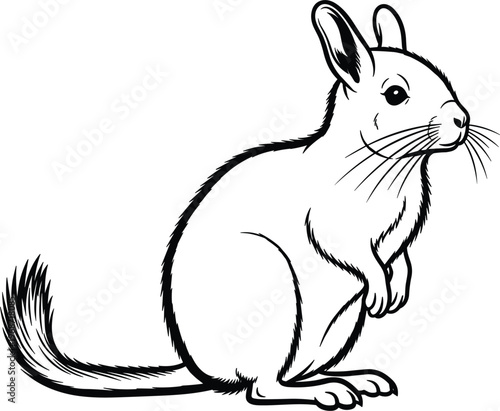 Line Art of a Chinchilla, Detailed Rodent Outline Illustration for Wildlife, Nature, and Animal Graphics