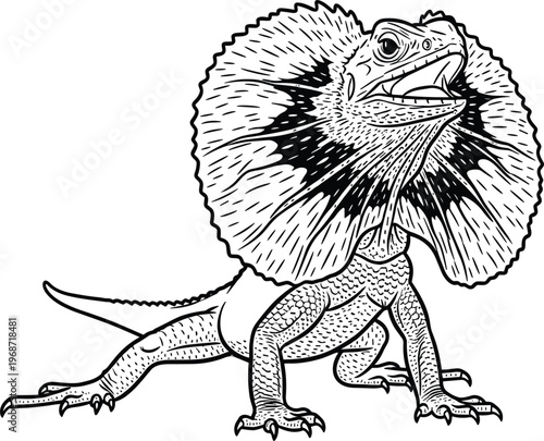 Line Art of a Frilled Lizard with Displayed Collar, Detailed Animal Outline Illustration for Wildlife, Nature, and Animal Graphics
