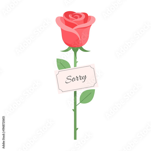 Single Pink Rose with "Sorry" Card - Apology and Forgiveness Symbol