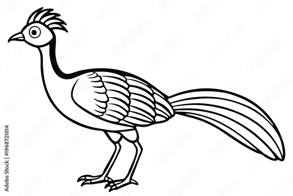 Fototapeta premium lyrebird silhouette line art vector illustration with a white background