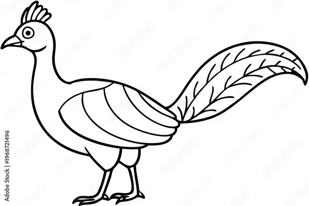 Fototapeta premium lyrebird silhouette line art vector illustration with a white background