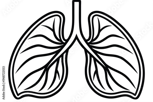 lungs silhouette line art vector illustration with a white background