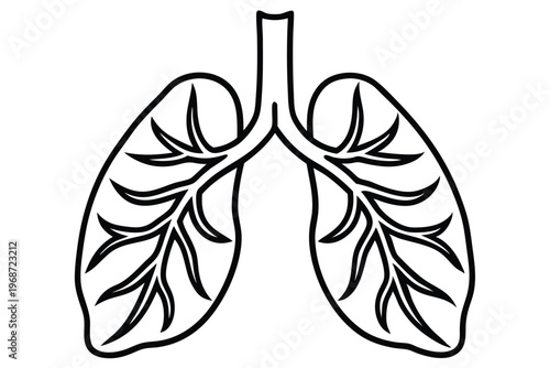 lungs silhouette line art vector illustration with a white background