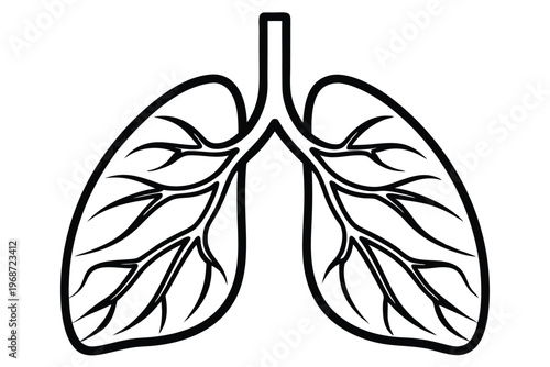 lungs silhouette line art vector illustration with a white background