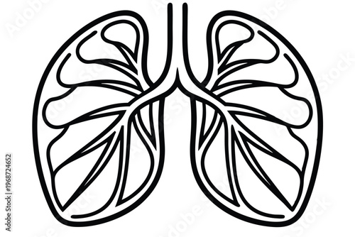lungs silhouette line art vector illustration with a white background