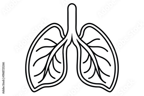 lungs silhouette line art vector illustration with a white background