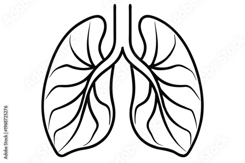 lungs silhouette line art vector illustration with a white background