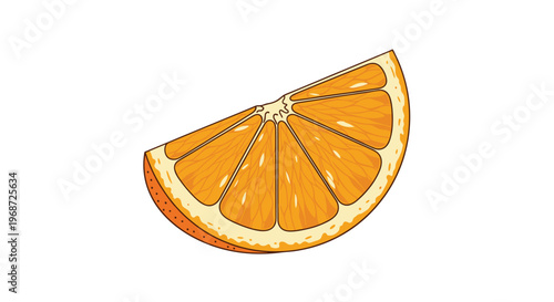 Detailed vector illustration of a juicy orange slice showing the segment structure and rind texture, isolated on a plain white background.
