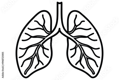 lungs silhouette line art vector illustration with a white background