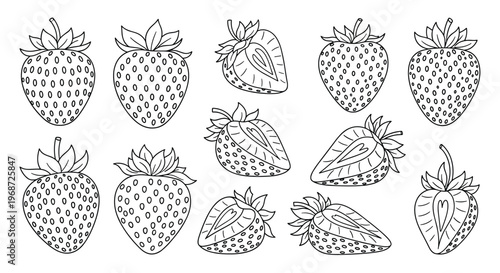 Hand drawn collection of whole and sliced strawberries in black and white line art style for coloring or food packaging design.