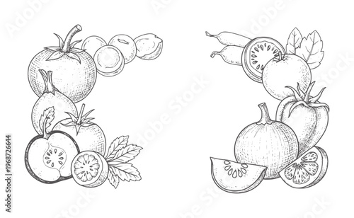 Hand drawn of tomatoes and other vegetables arranged in decorative frames vintage