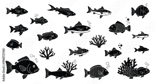 Assorted fish and coral formations in a black silhouette high quality