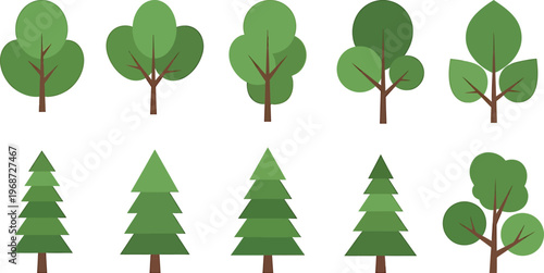 Collection of stylized broadleaf and coniferous tree illustrations with diverse foliage shapes, green canopies, and natural forest design elements