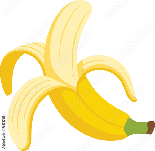 Fresh yellow peeled banana fruit vector illustration isolated on white background for healthy eating nutrition organic food and grocery store graphic design,