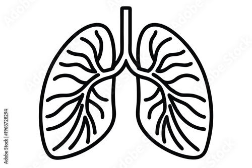 lungs silhouette line art vector illustration with a white background