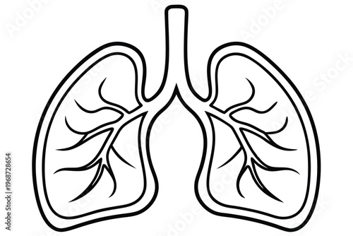 lungs silhouette line art vector illustration with a white background