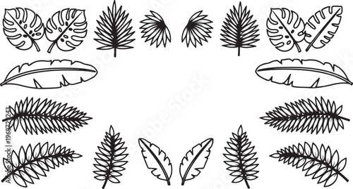 Illustration of various pine needles and pinecone cross-sections Vector