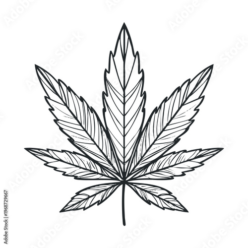 Cannabis leaf outline drawing illustration representing natural plant symbol used for medical, recreational, and industrial purposes, often associated with relaxation and wellness.