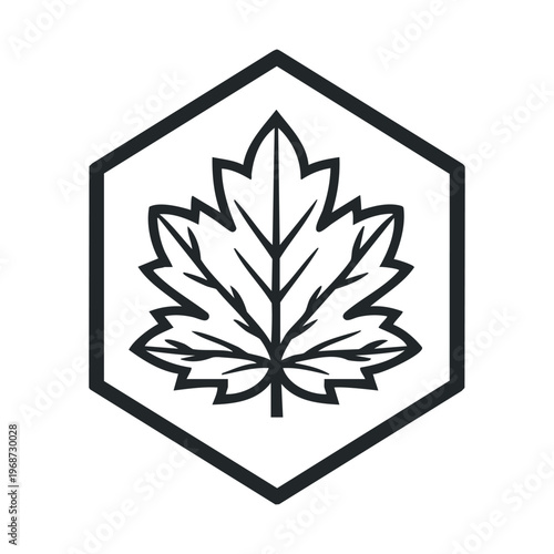 Stylized black and white maple leaf graphic is enclosed within a hexagonal frame, representing nature, growth, and environmental themes for various design projects.