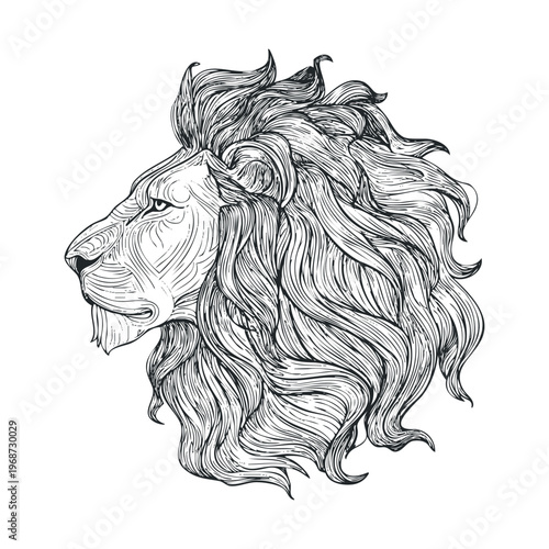 Lion head profile illustration with majestic flowing mane showcasing intricate line art and a powerful, regal animal motif in a detailed engraving style.