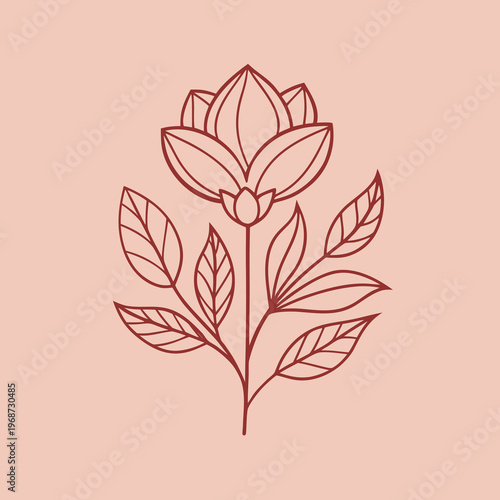 minimal elegant peach background