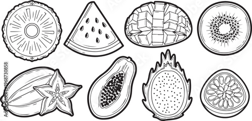 Diverse patterns and textures of marine life in black and white sketches Vector