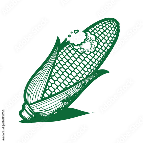 Green corn on the cob with husk and leaves food vegetable