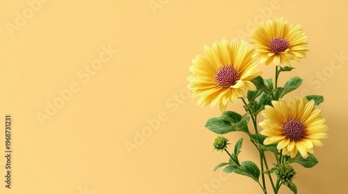 Bright Yellow Sunflowers Against Soft Yellow Background