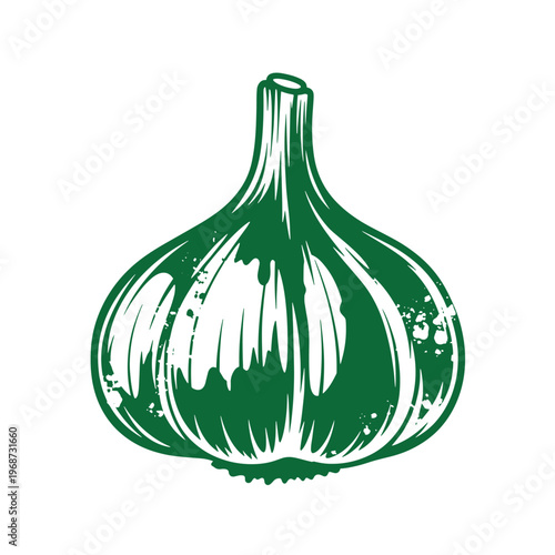 Green garlic bulb vegetable white background