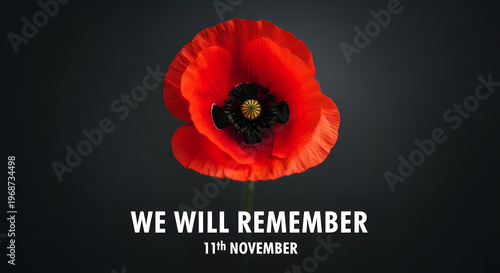 Canada day remembrance a poppy for veterans and national pride