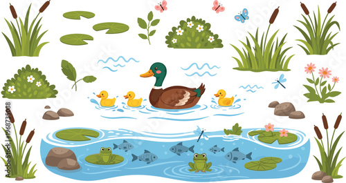 Duck Family Swimming in Pond with Frogs, Fish, and Water Plants in a Fun Vector Set for Kids Illustrations