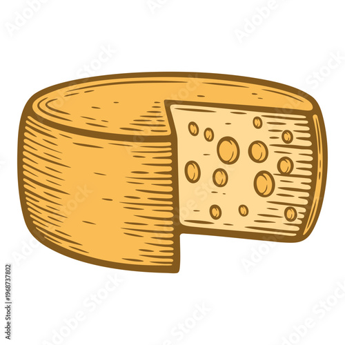 Wheel of hard cheese, cut with holes, colourful, hand-drawn illustration, line art contour, isolated