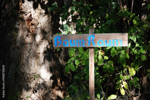 Ein dicker alter Baum, davor ein Schild mit der Aufschrift Baum Raum