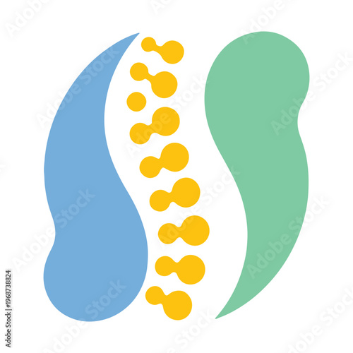 Illustration of a spinal column with highlighted vertebrae between two colored regions