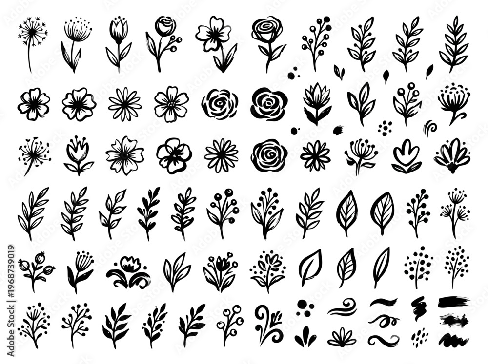 Fototapeta premium Large collection of hand drawn floral elements in black ink
