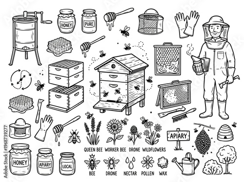 Large Set of Beekeeping Tools and Bee Life Cycle Elements