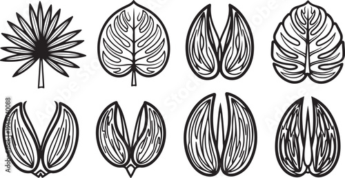 Intricate black and white floral and leaf designs for botanical reference Vector